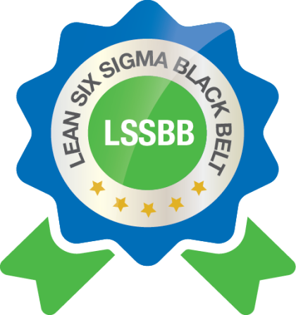 Lean Six Sigma Black Belt